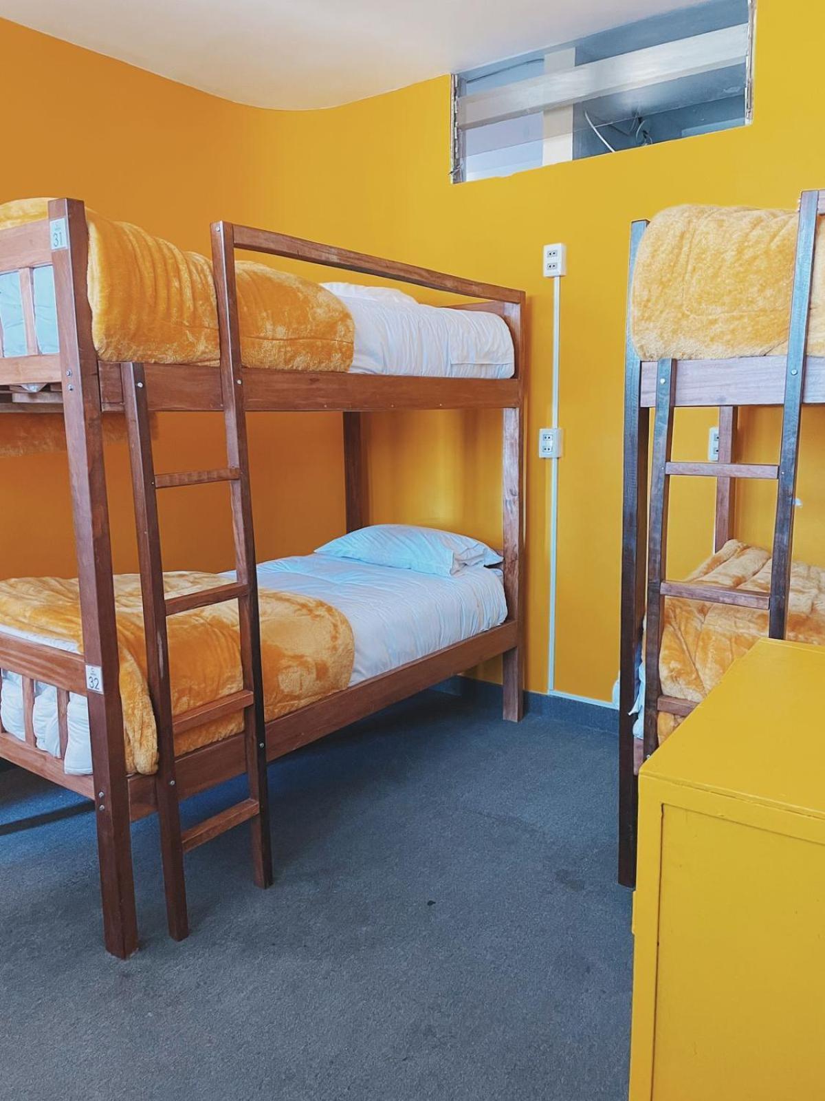 Lobo Hostel לה פאז מראה חיצוני תמונה